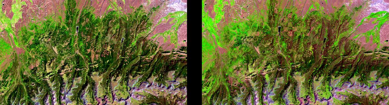 Landsat 1992 vs 2010 Pine Beetle Assault on Forest E.of Salt Lake City.