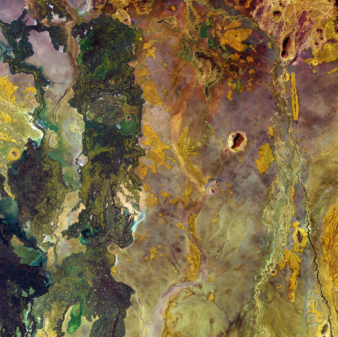 Landsat 8 image