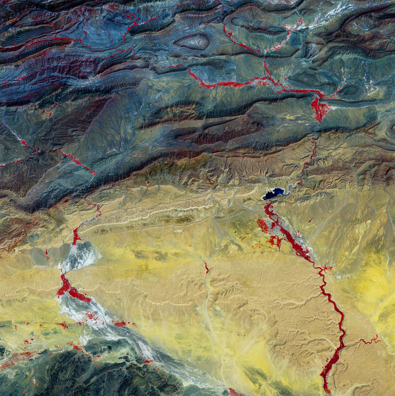 Landsat 8 image