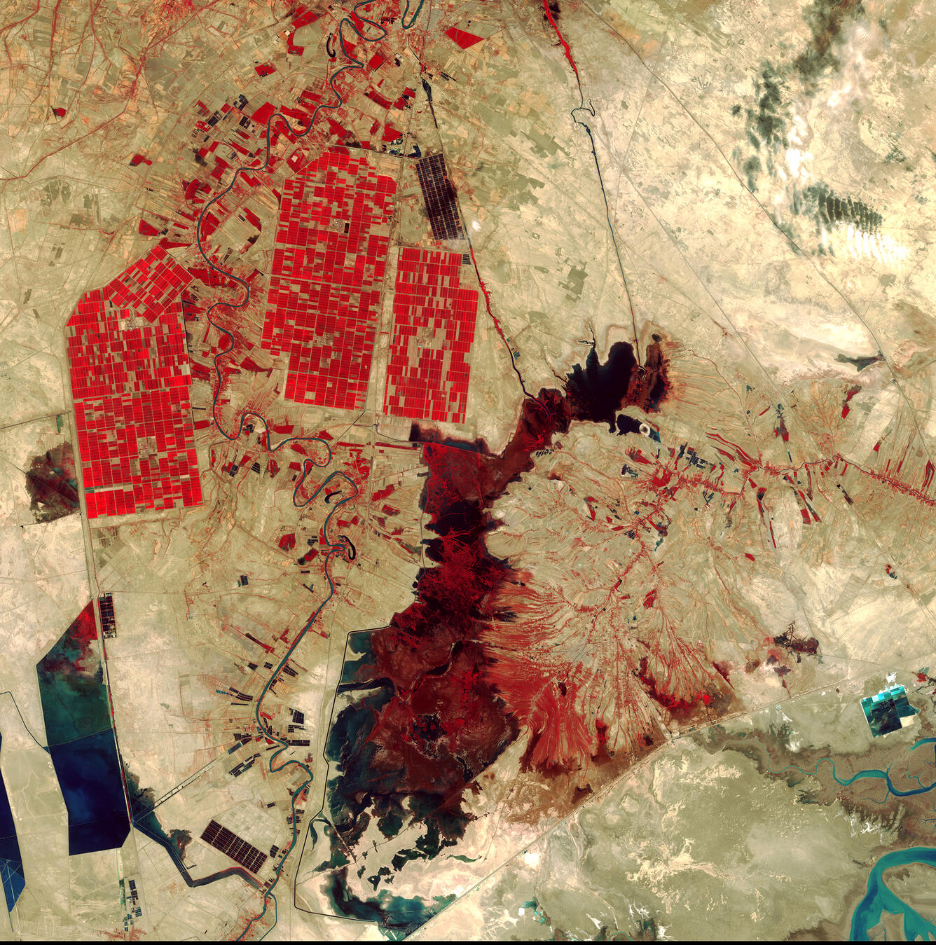 Landsat 8 image - Earth as Art