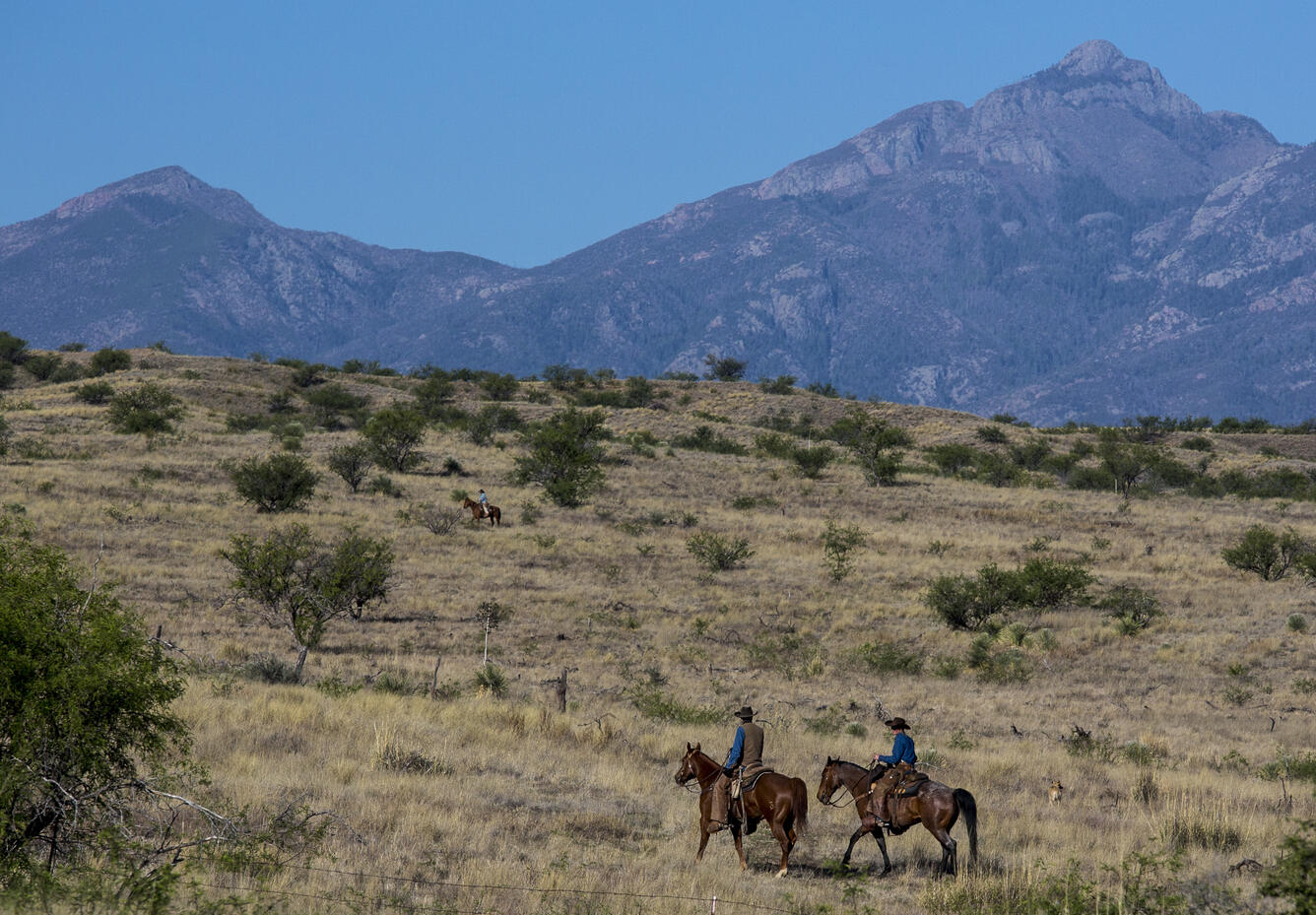 Image of rangeland in Arizona showing two ranchers on horseback