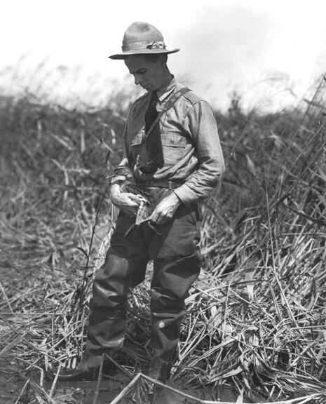 Fredrick Lincoln in the field