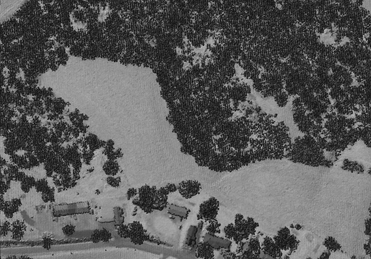 3dep_Linear_Intensity_Image