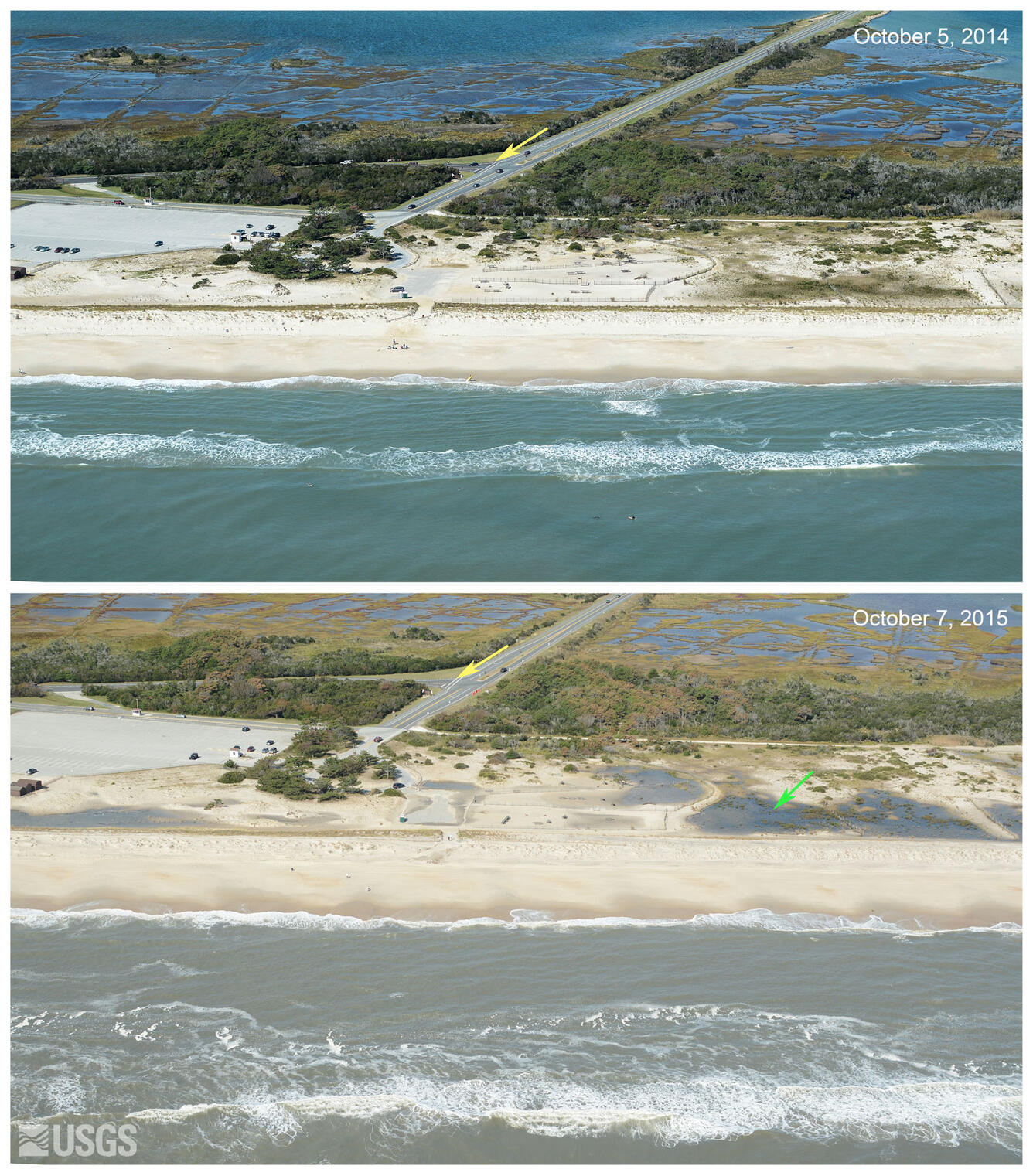 there is no dune scarp or overwash fan that would indicate that the waves and surge from Joaquin reached the base or crest of th