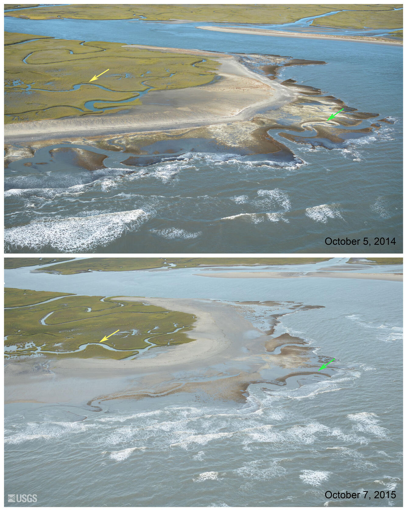 High waves from Hurricane Joaquin exposed and eroded the marsh platform (green arrow) and transported sand inland burying marsh