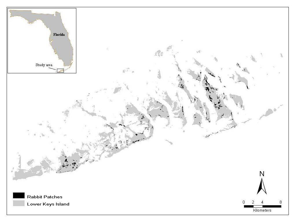 Florida Keys National Wildlife Refuge