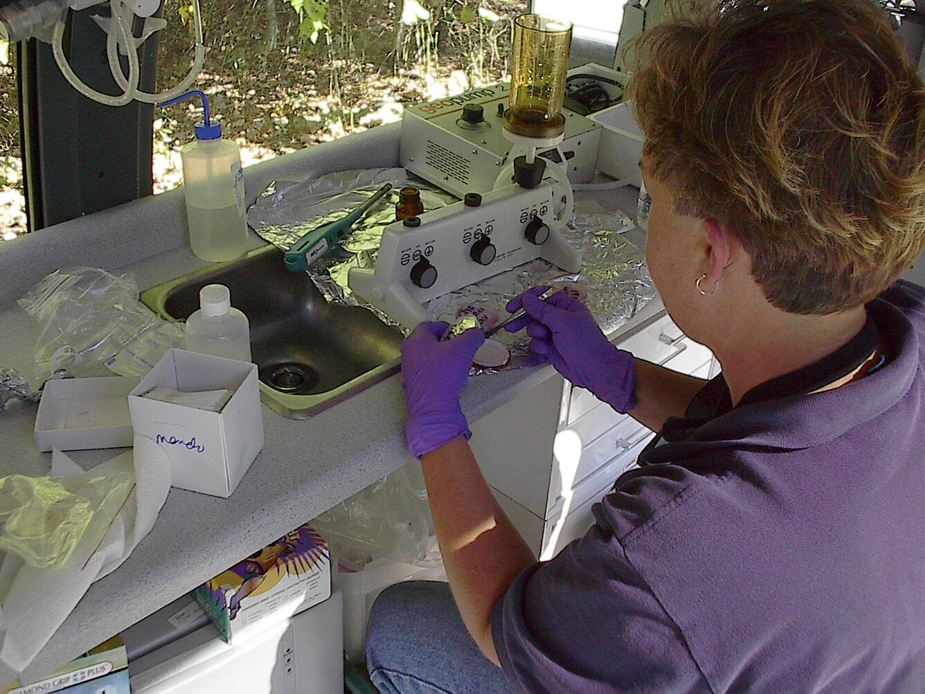 Technician taking bacteria sample