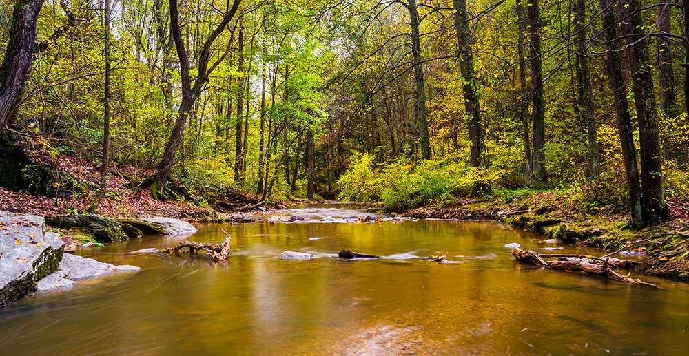 Gunpowder River