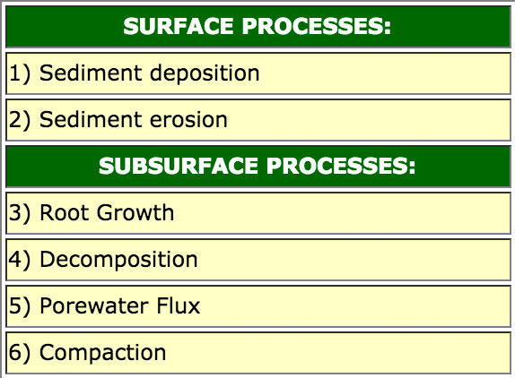 SET Surface and Subsurface Processes