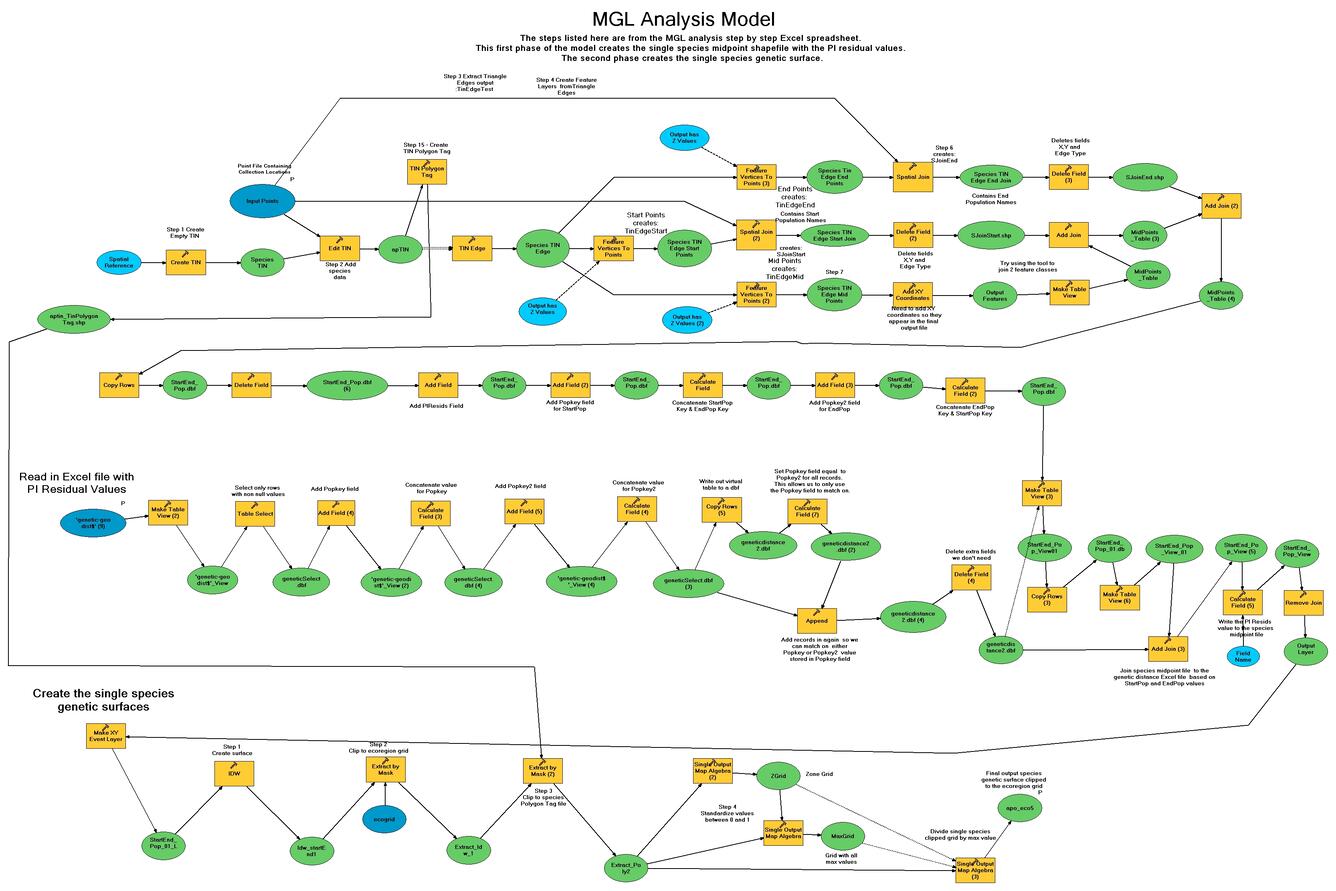 Genetics Model
