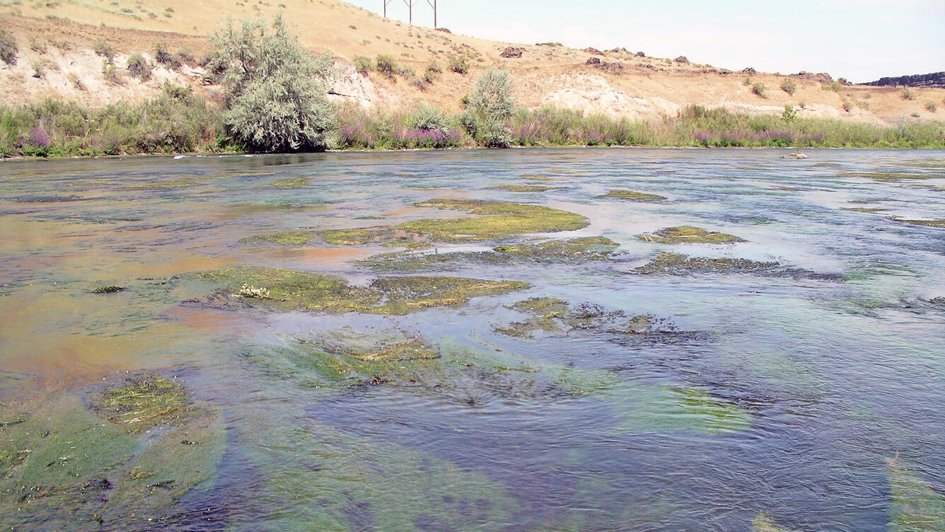 Crystal Springs, middle Snake River, Idaho