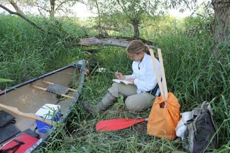 Scientist collecting data 