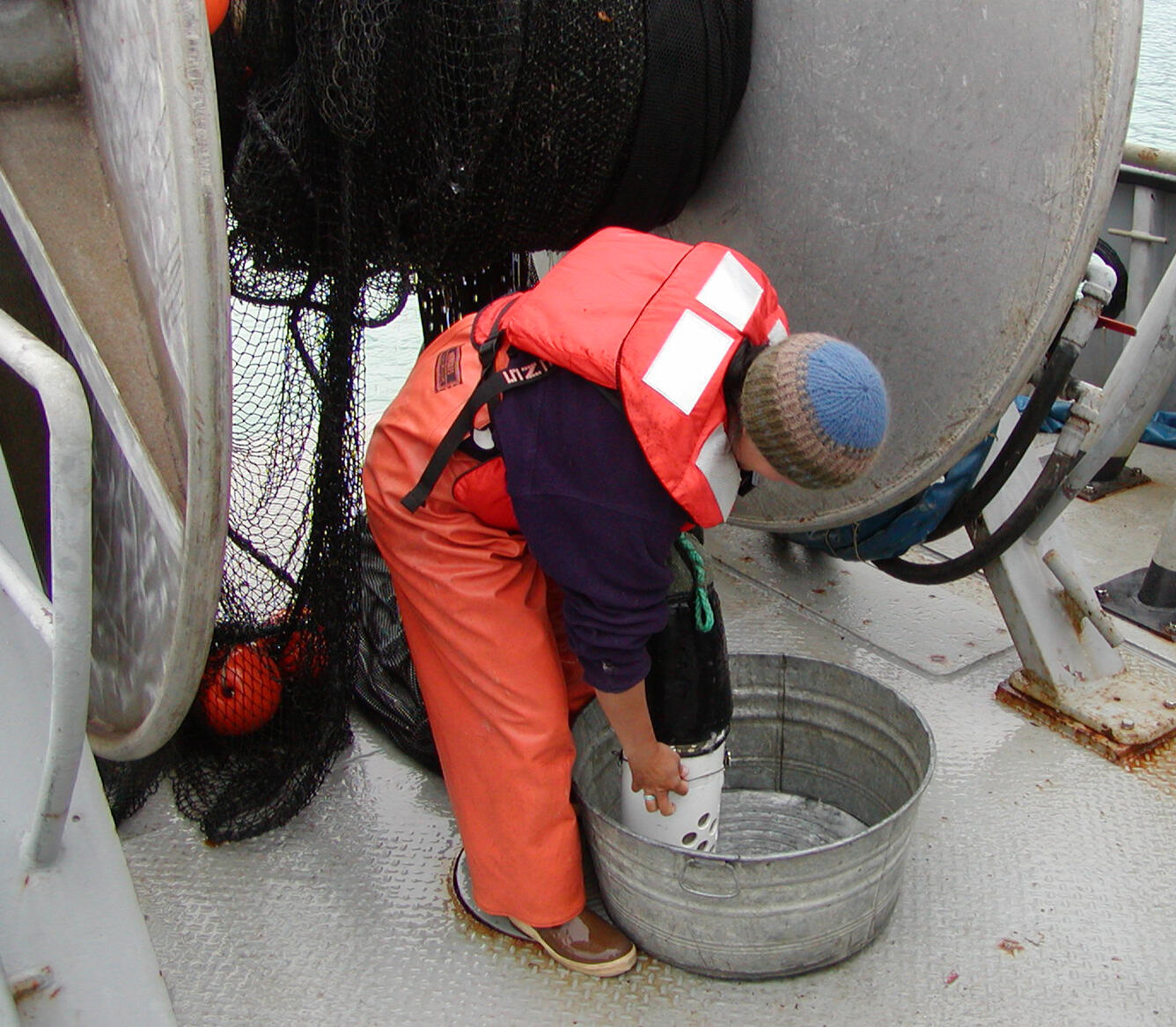 Scientist emptying the trawl contents in a large bucket in Prince William Sound