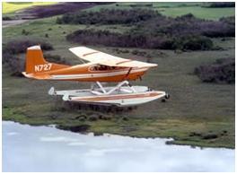 Aerial surveys are flown during late summer to determine location and approximate size of current stopover concentrations