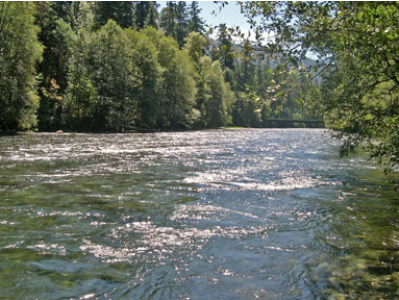 McKenzie River