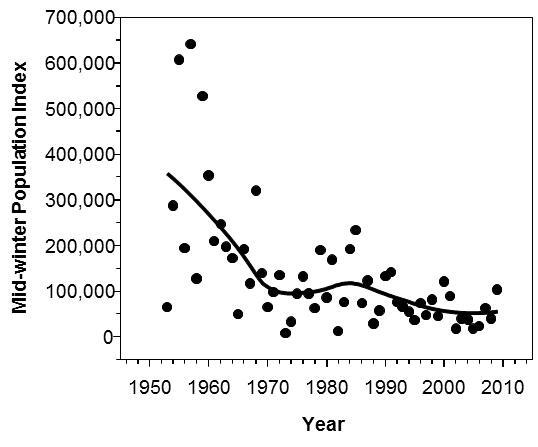 Mid winter population size indices for dabbling ducks