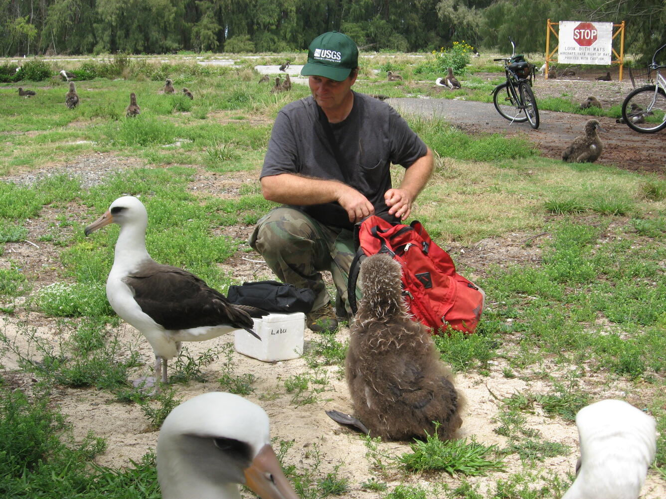 Carter Atkinson and albatross