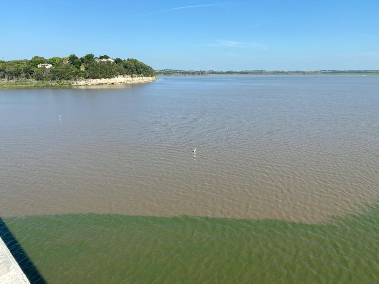 Algal bloom in Lake