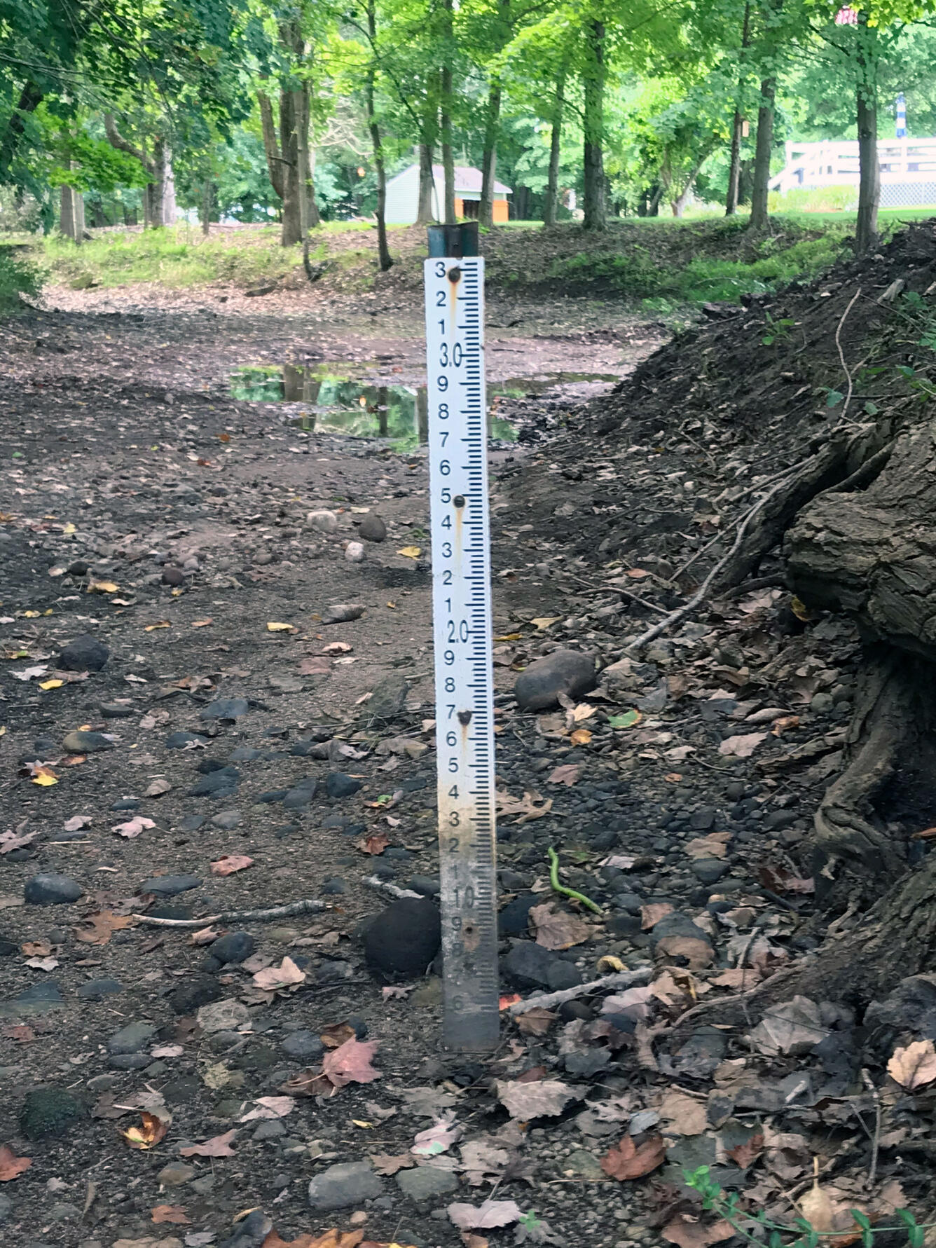 Dry river bed during 2020 drought - Mill River at Cook Hill Rd. in Cheshire, Connecticut