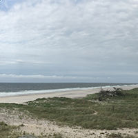 Sandy barrier island with dunes near a sandy beach on one side, low vegetation in the middle, and a bay of water on the other.