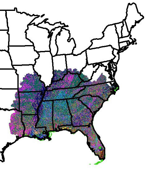 Mod-FIS map of in-season annual grass conditions for SE United States