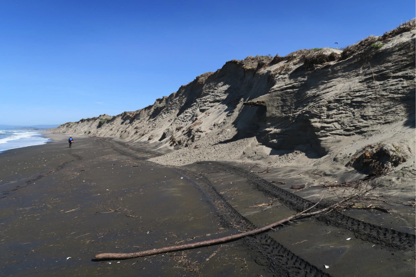 Sandy ocean beach with low cliffs on the right side. Ocean visible at left side. One person walking on beach