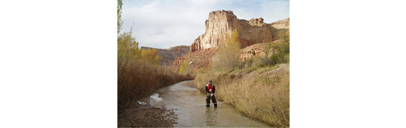 Scientist wades Muddy Creek to collect water sample across section