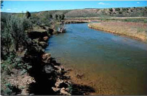 Muddy Creek near Kremmling, CO, May 2001