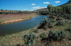 Muddy Creek near Kremmling, CO, May 2001