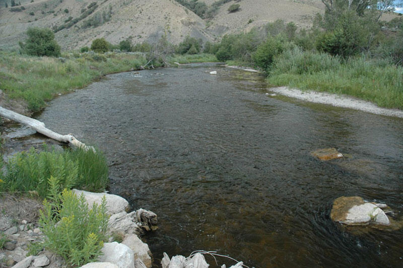 Muddy Creek near Kremmling, CO, July 2008