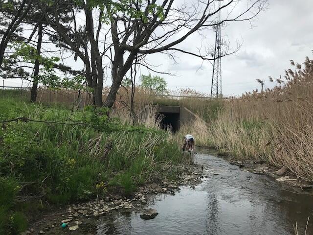 person leaning over in stream near bridge
