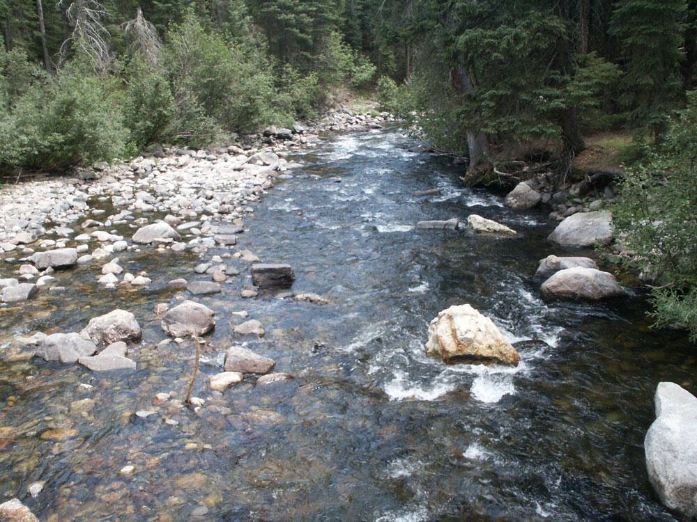 North Fork Elk River, Colorado