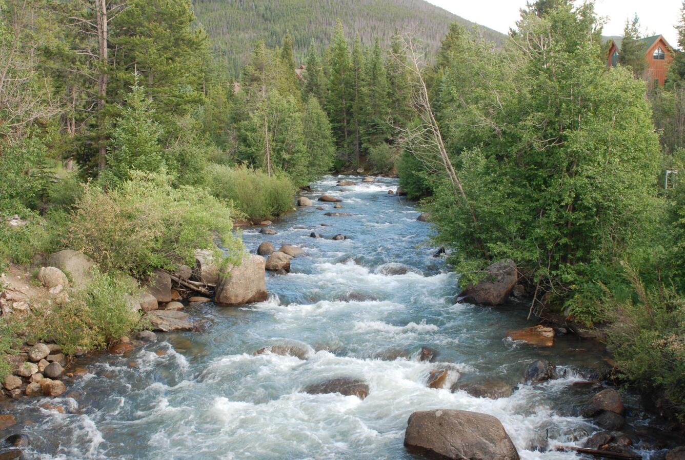 Snake River, Rocky Mountains at 9,000 feet