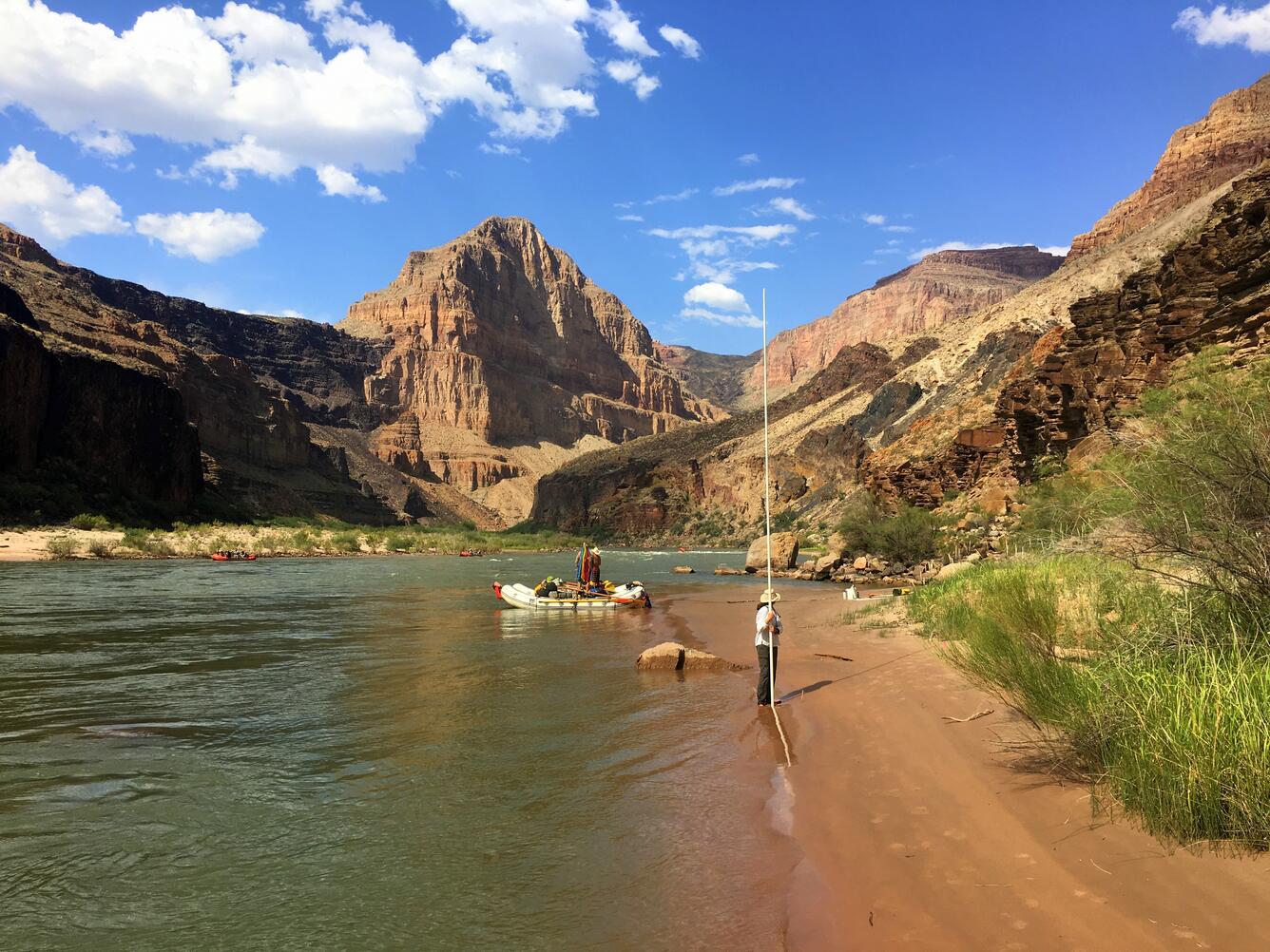 Monitoring riparian vegetation along the Colorado River