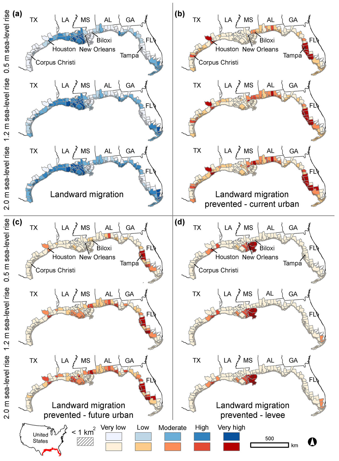 Tidal Saline Wetland migration map of the U.S. Gulf Coast. 