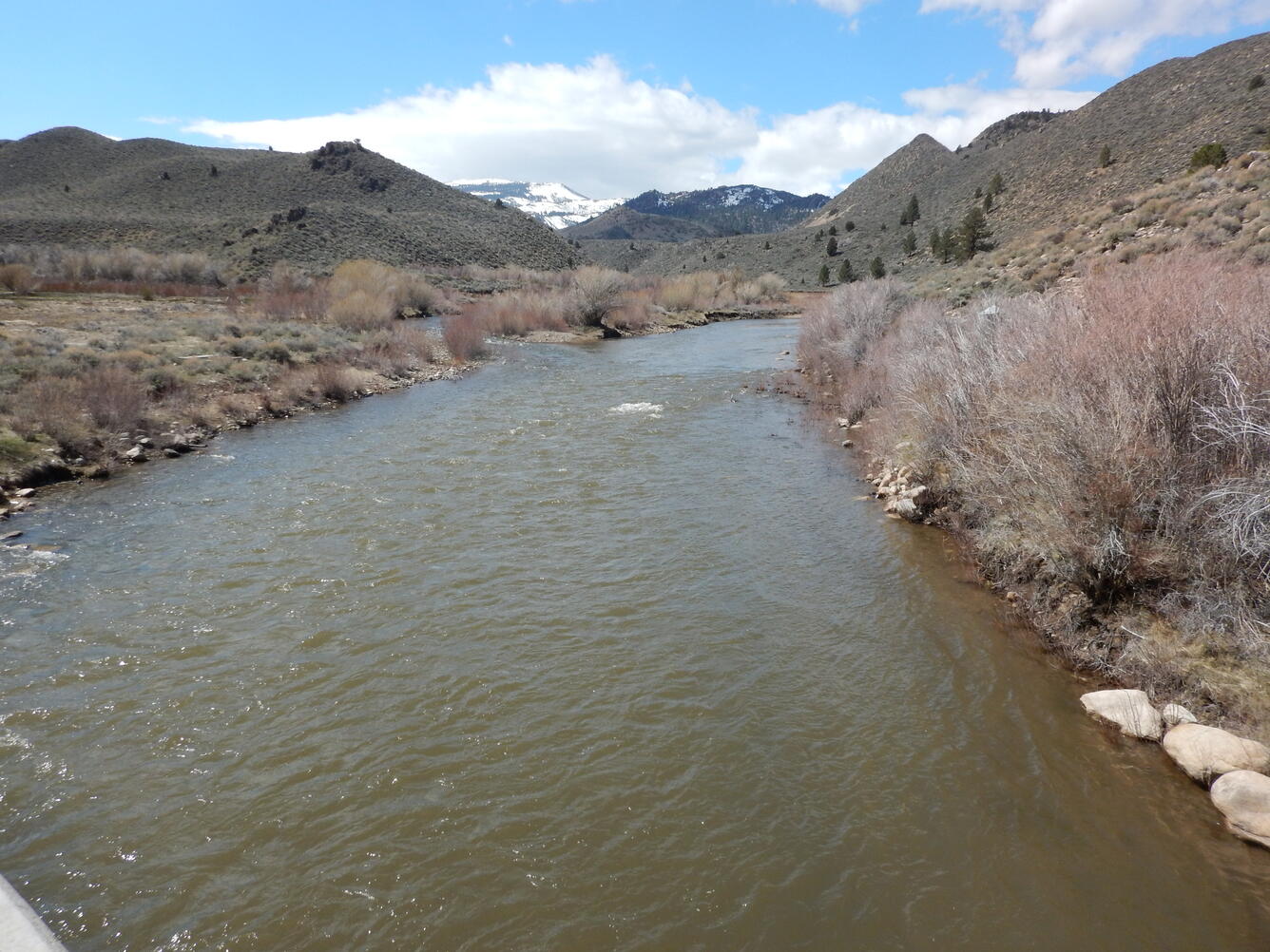 Nevada landscape
