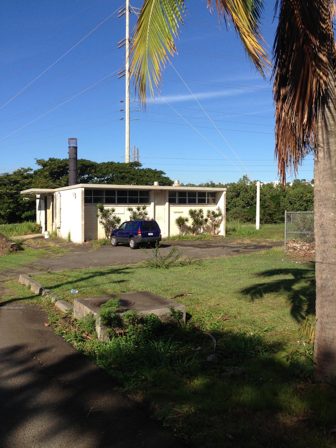 Necropsy laboratory in Honolulu