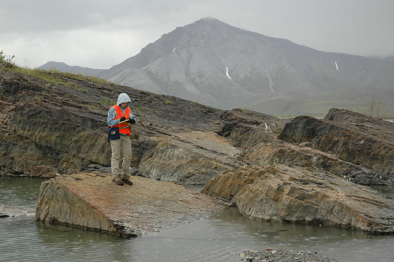 Niki Wintzer doing field work in Alaska
