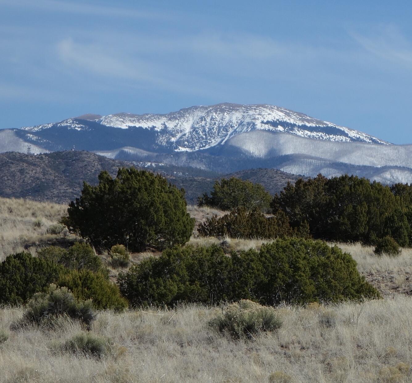 Nambe grasslands, New Mexico.