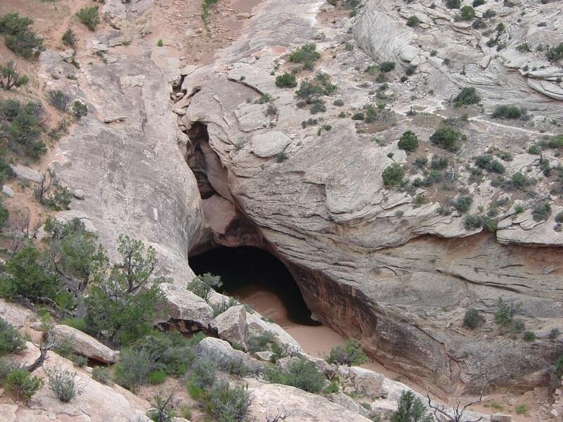 This is a photo of a waterpocket at the base of a falls in Armstrong Canyon.