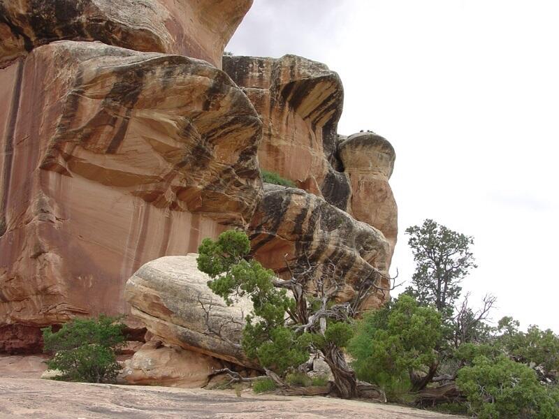 This is a photo of overhanging cliffs of Cedar Mesa Sandstone.