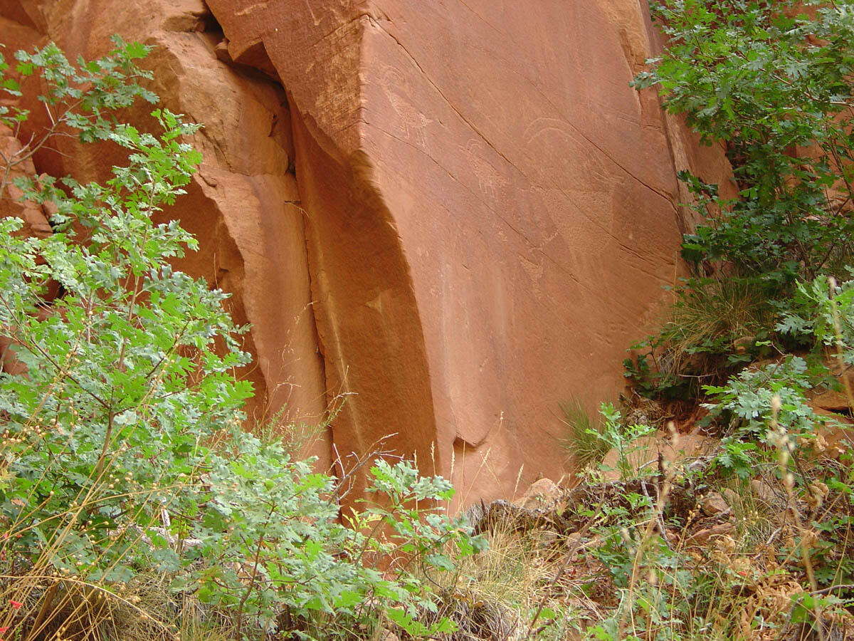 This is a photo of Petroglyphs on a sandstone cliff.