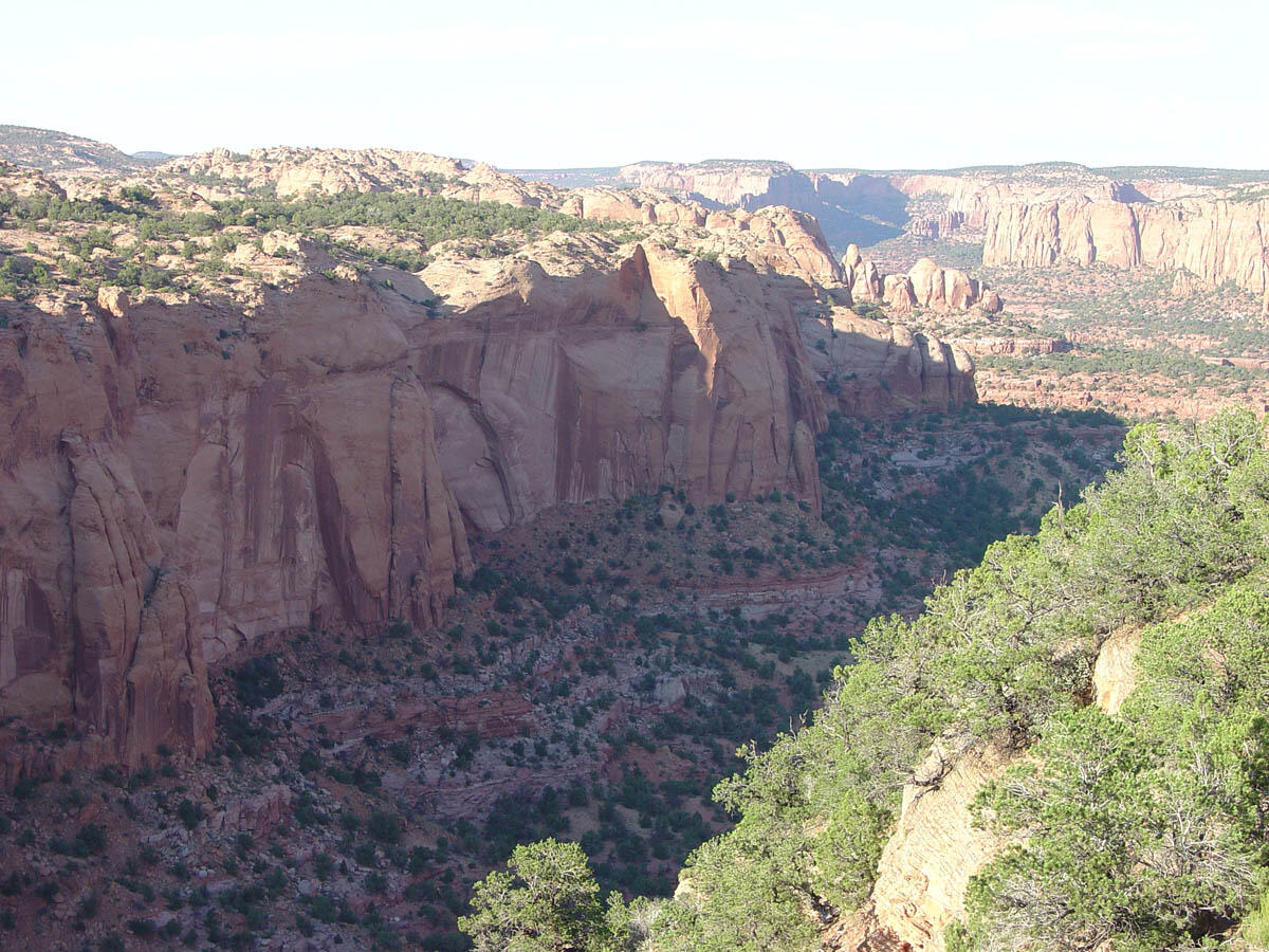 This is a photo of the Betatakin Overlook 