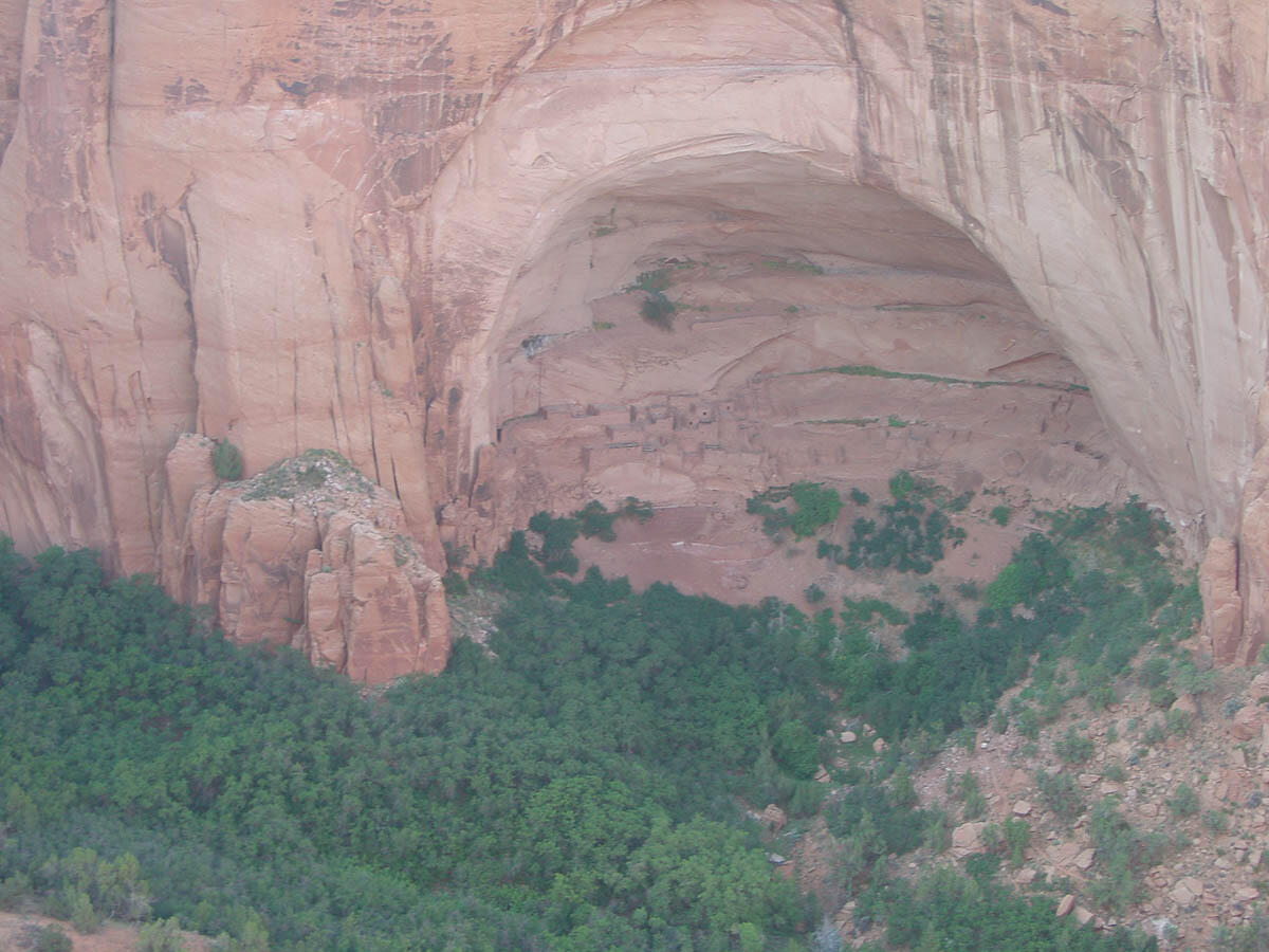 This is a photo of a forest in the valley near Betatakin Ruin