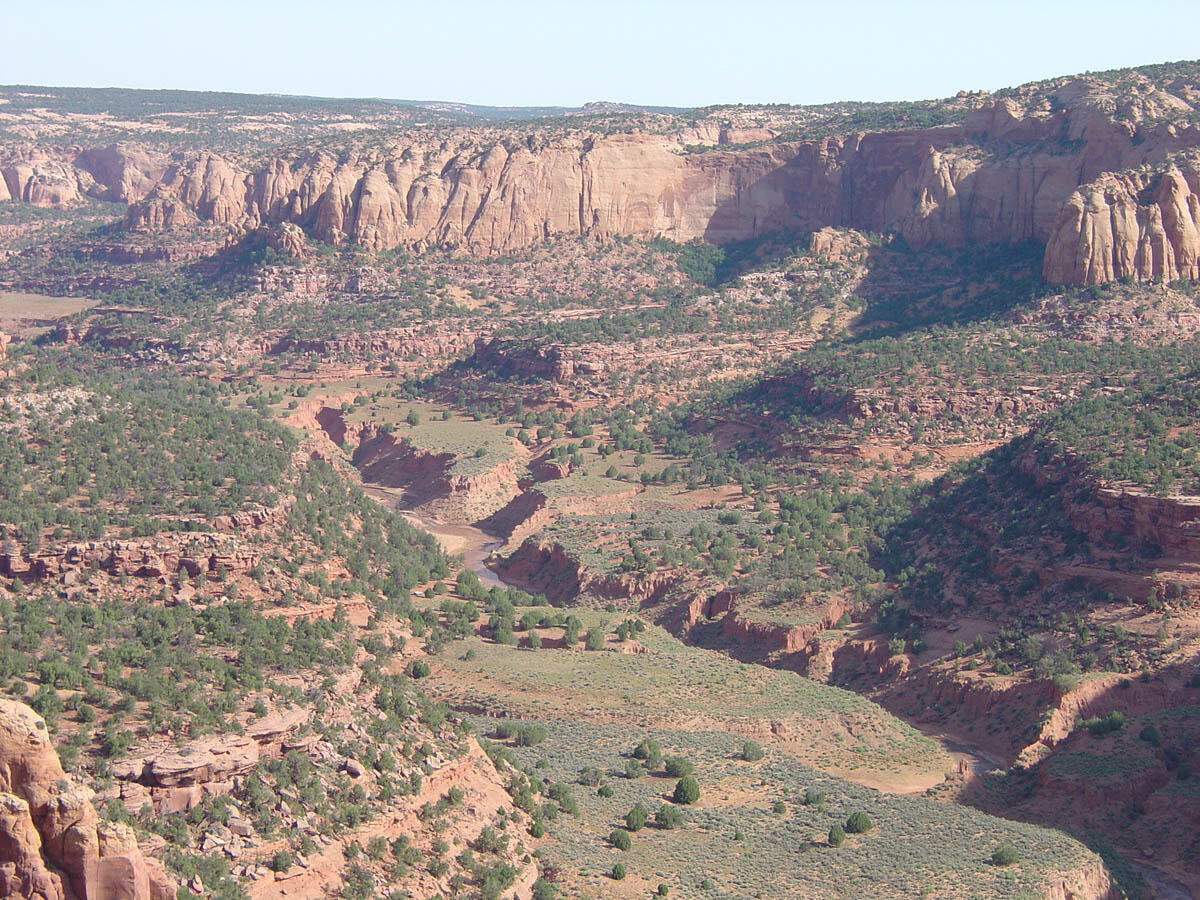 This is a photo of the eroded inner gorge and elevated floodplain in Long Canyon. 