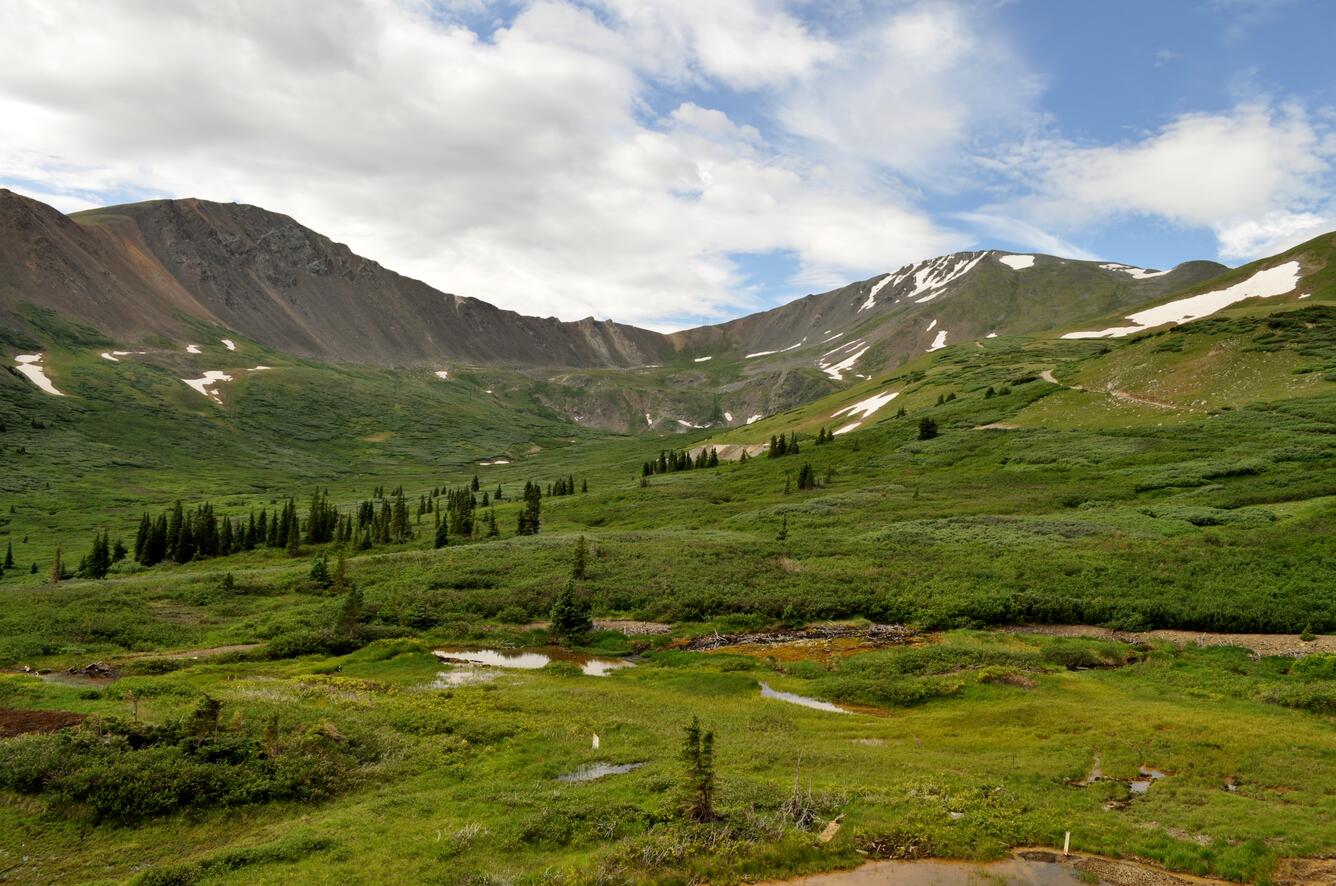 Near Waldorf Mine, Leavenworth Creek above Georgetown, Colorado