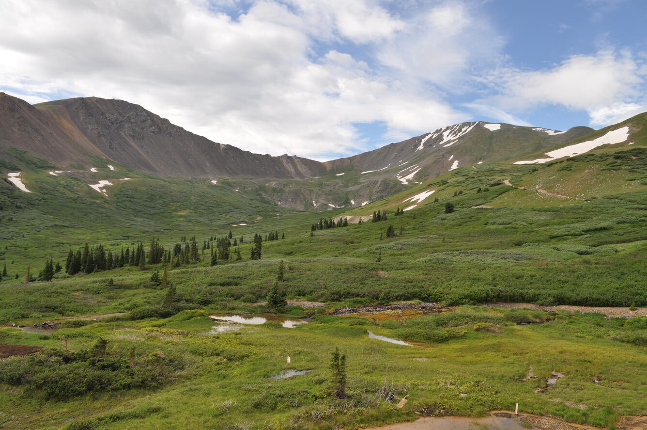 A spring meadow near Waldorf Mine, Leavenworth Creek above Georgetown, CO