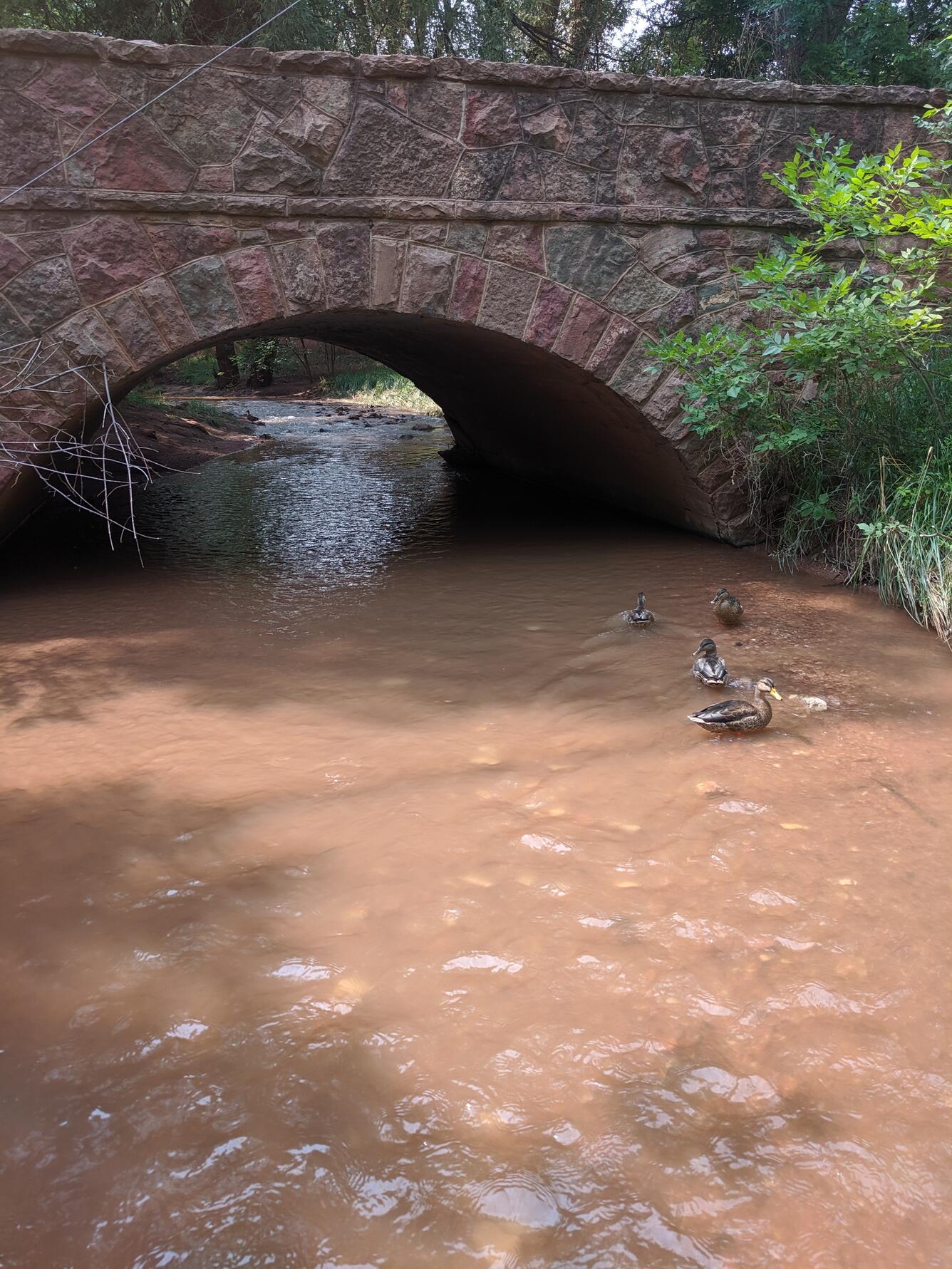 Streamflow measurement site on Fountain Creek near Manitou Springs, Colorado