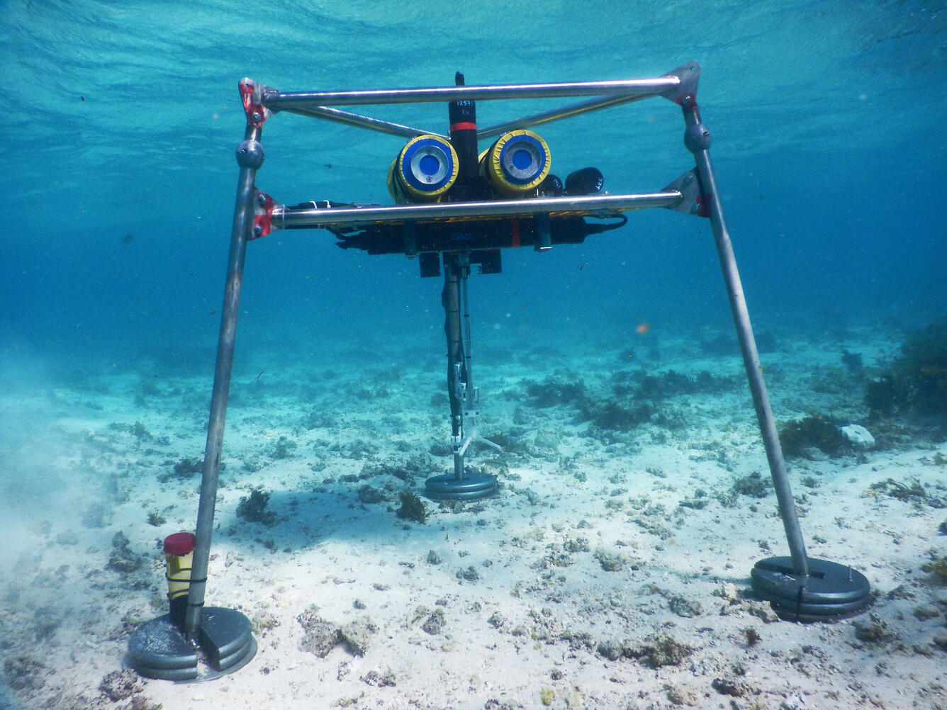Tripod with instruments on shallow seafloor | U.S. Geological Survey