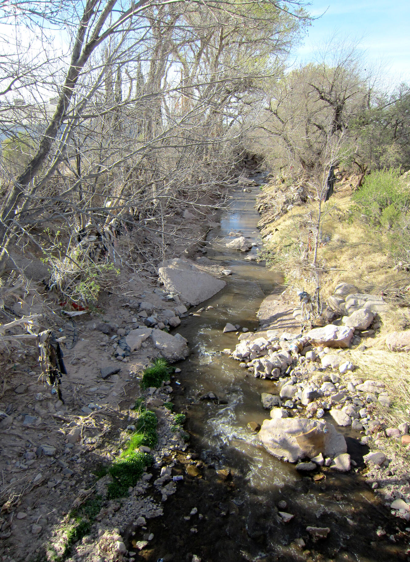 Santa Cruz River